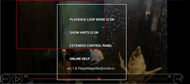 Video Player - Magnified