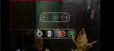 Video Player - Magnified