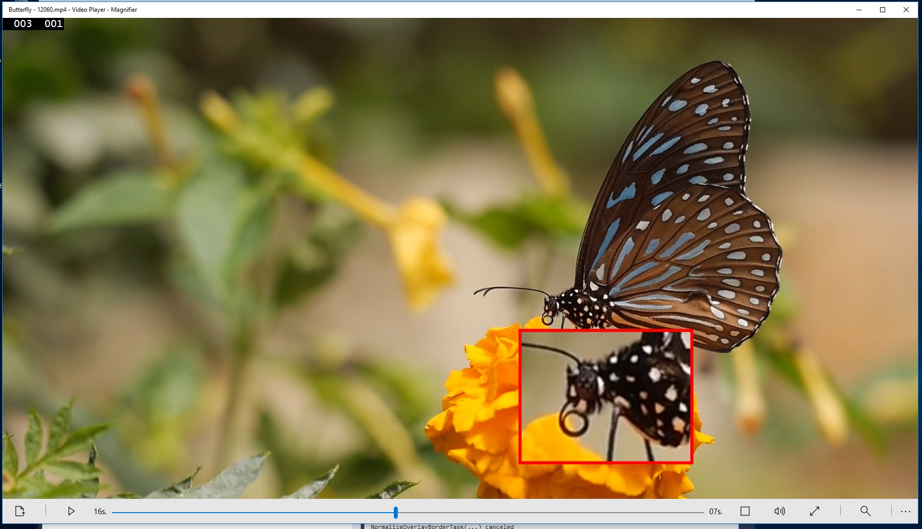 Video Player-Magnifier