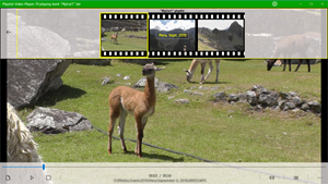 Playlist Video Player