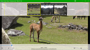 Playlist Video Player