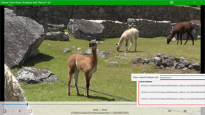 Playlist Video Player